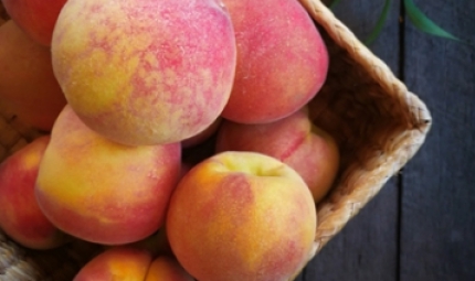 PEACH EXTRACT