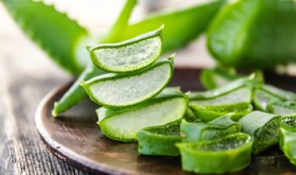 ALOE VERA